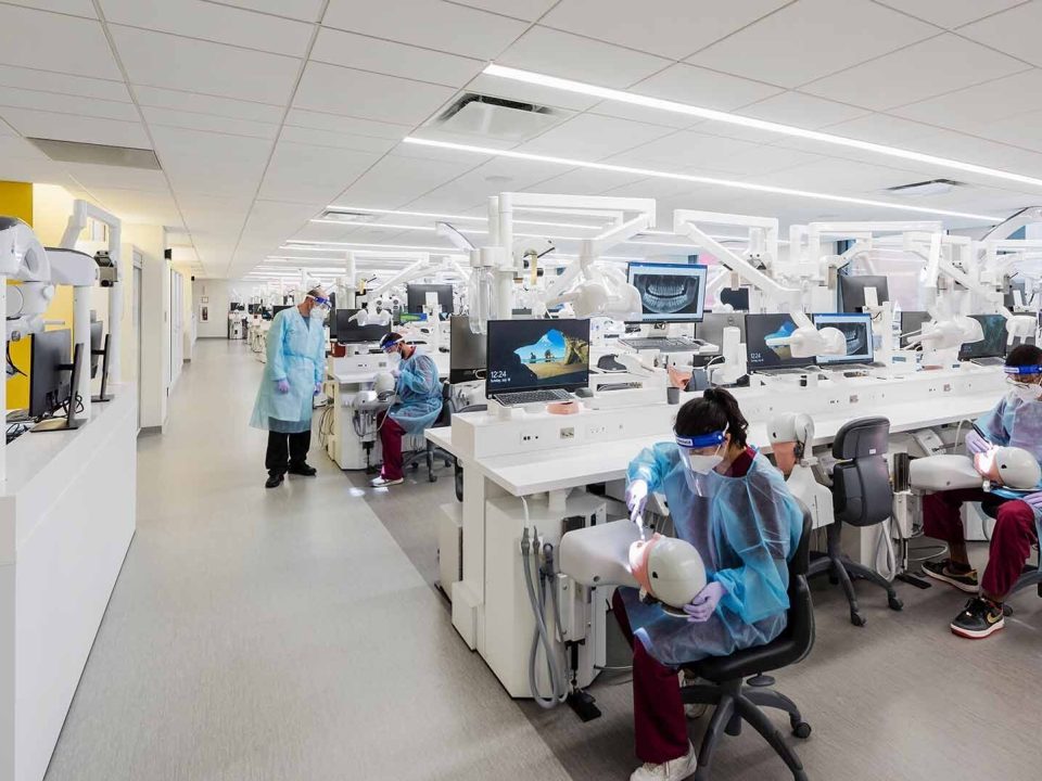 What to Study to Be a Dentist Subjects, Courses & Career Path Explained